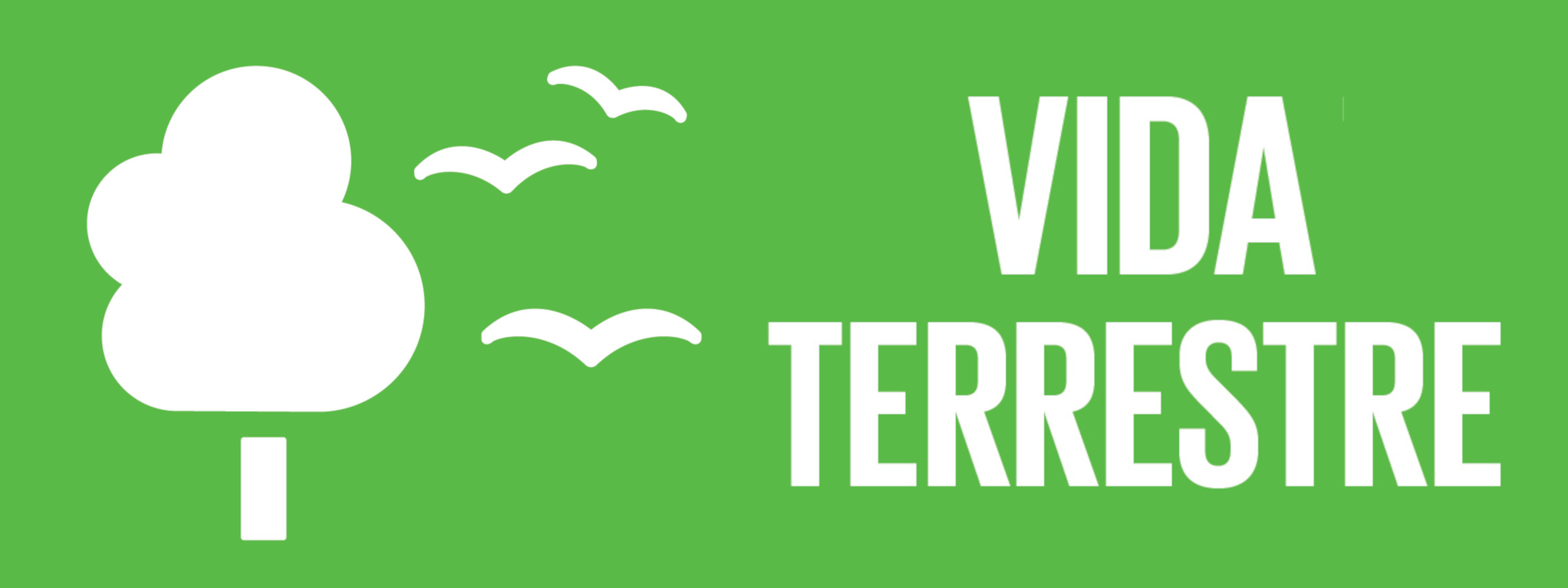Vida Terrestre